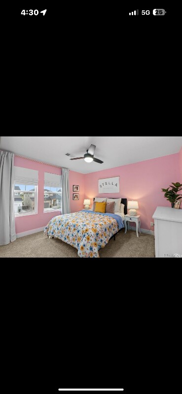 Building Photo - 3636 Sublime Crt