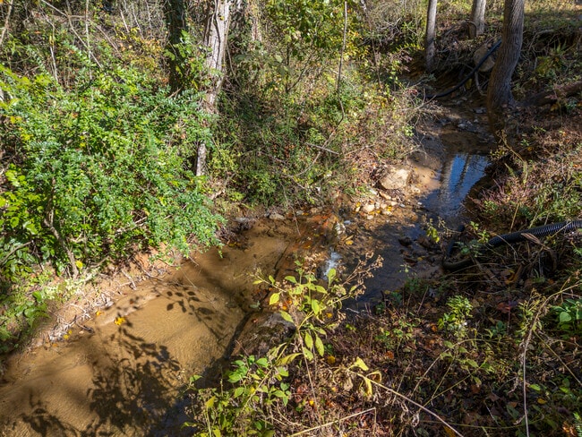 Building Photo - 143 Luckado St