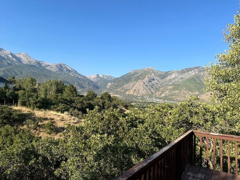 View from your door/window/deck - 308 Hillside Cir