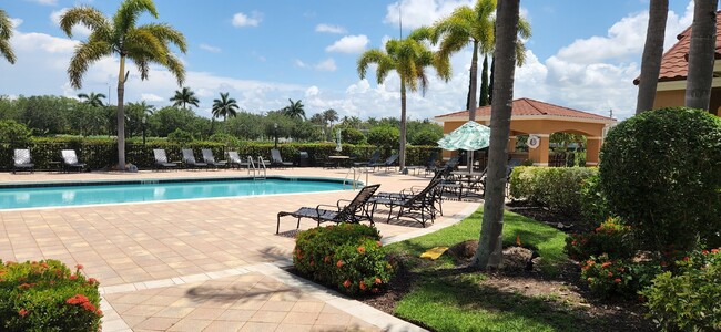 pool - 1875 Florida Club Dr