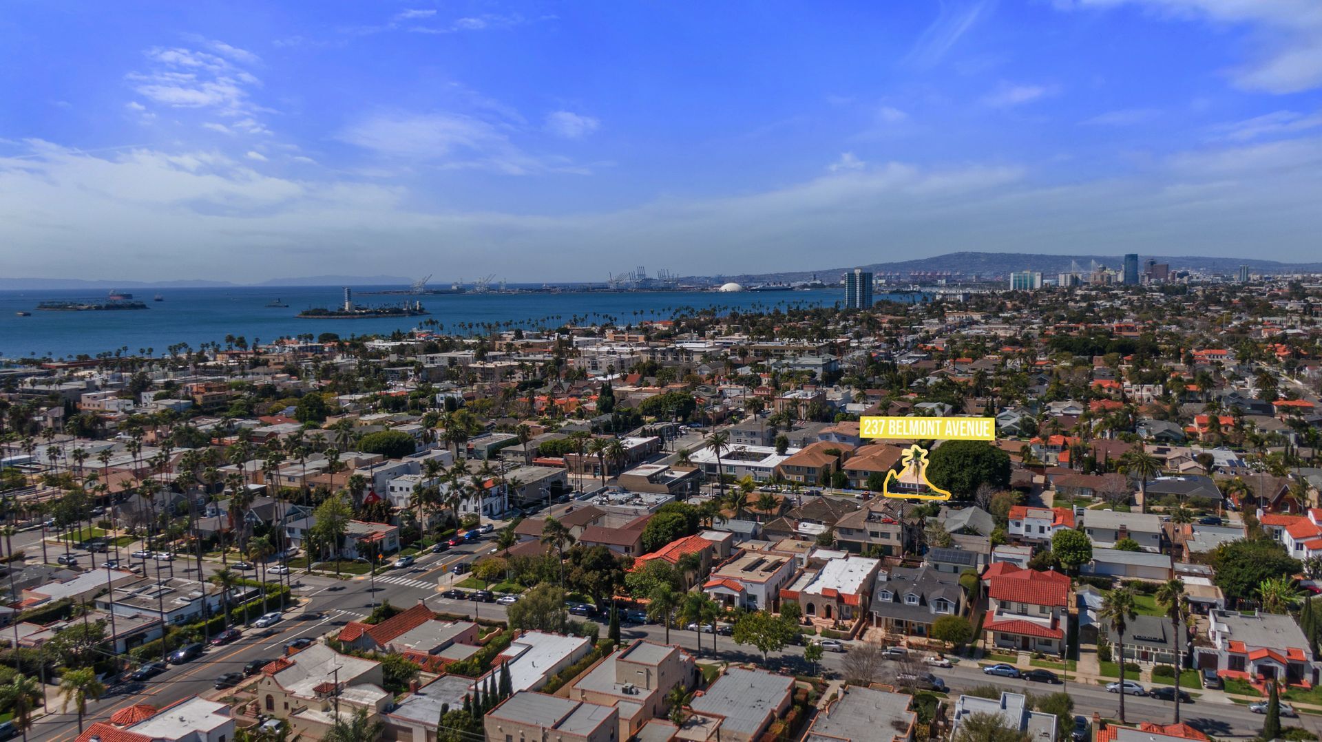 Building Photo - 237 Belmont Ave