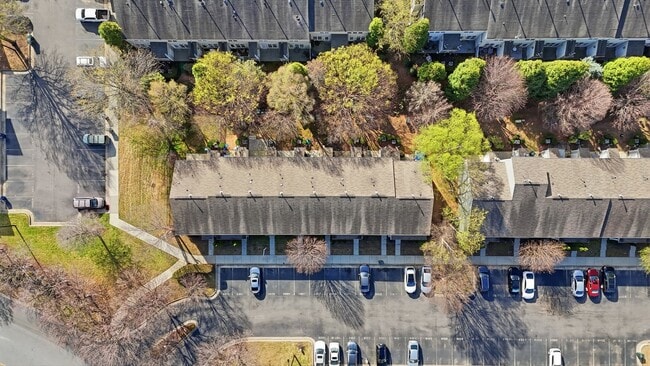 Building Photo - 2907 Berkeley Springs Pl