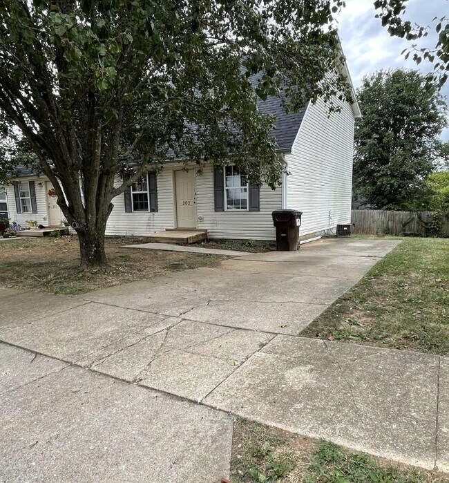Building Photo - 203 Maple Leaf Ln