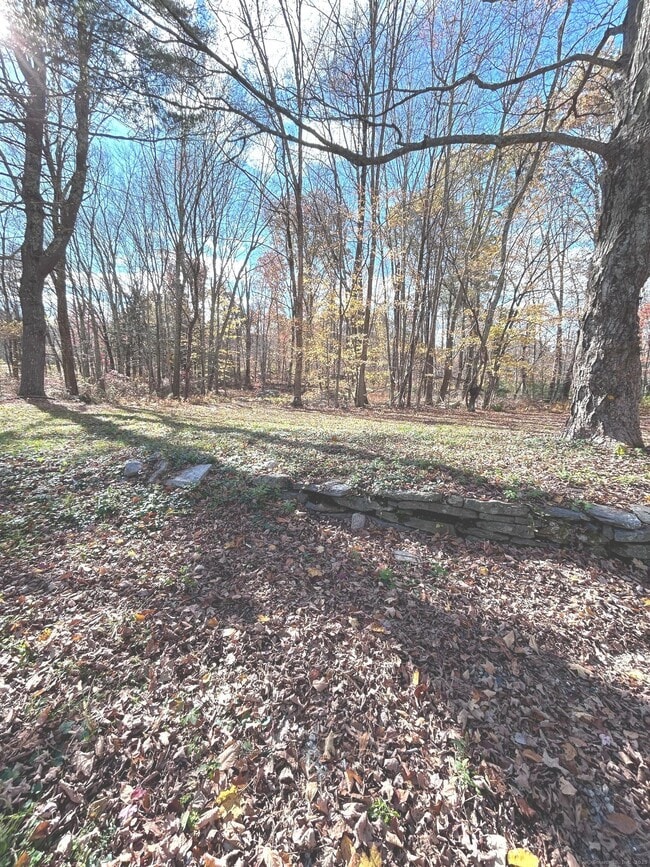 Building Photo - 56 Macht Rd