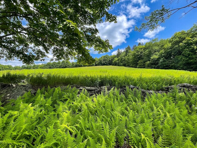 Building Photo - 385 Mountain Brook Rd