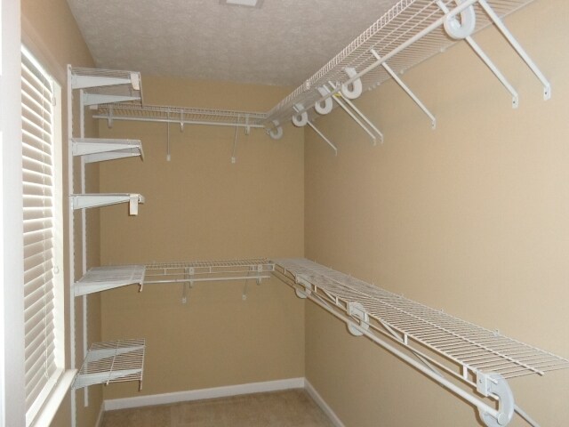 Building Photo - 7041 Calderwood Drive