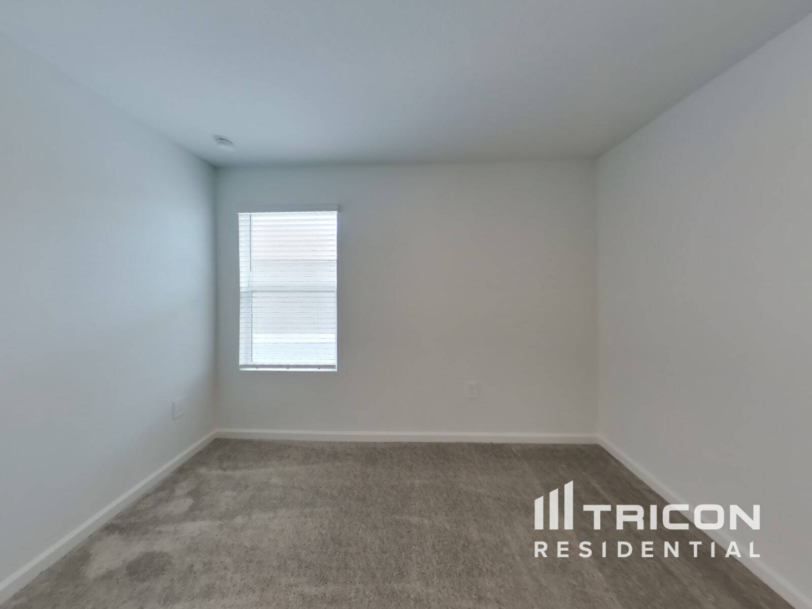 Building Photo - 5648 Gingham Dr