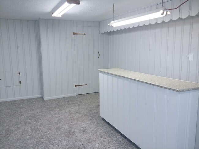 Building Photo - Newly Remodeled 3BD/2B House with a HUGE Back Yard and Patio for Summer Entertaining!