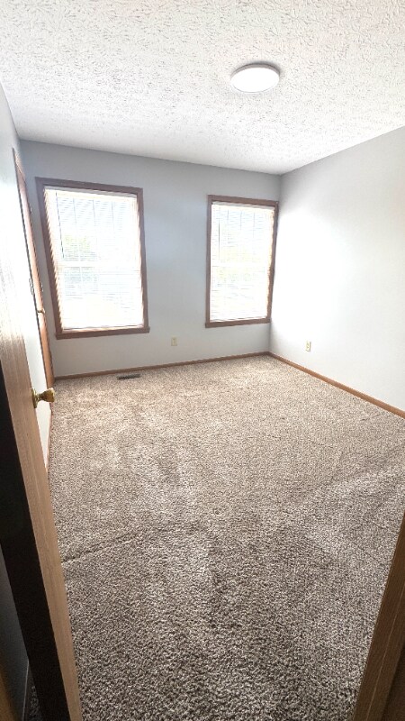 Building Photo - 4348 Shady Meadows Dr