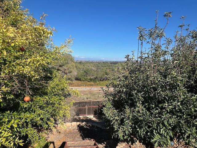 Building Photo - 246 Luiseno Ave
