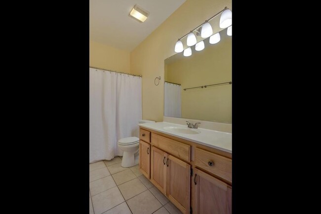 Hall bath - 509 Mace Blvd