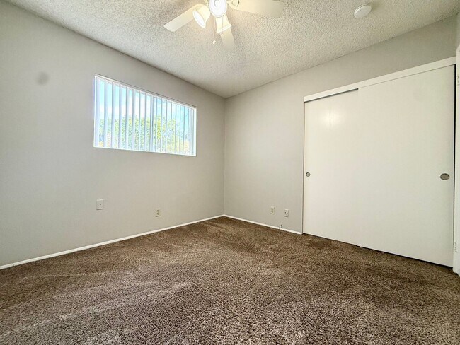Building Photo - 2350 Sea Breeze Dr