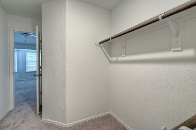 Building Photo - 14202 Padova Crk Ct