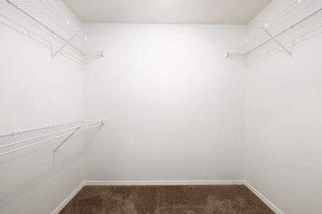 Building Photo - Brand New 3 Bedroom Home in Aurora