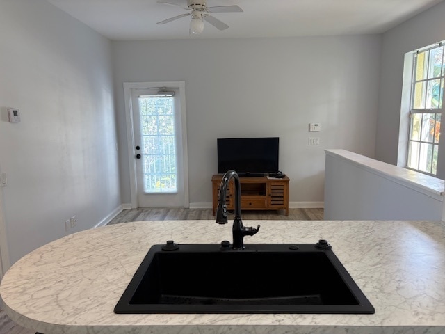 Building Photo - 259 San Remo Dr