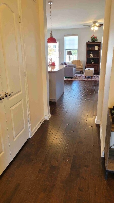 Building Photo - 2717 Van Cliburn Cir