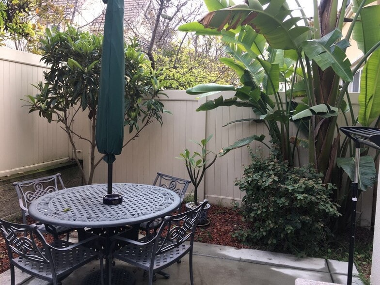 yard - 14575 Baylor Ave