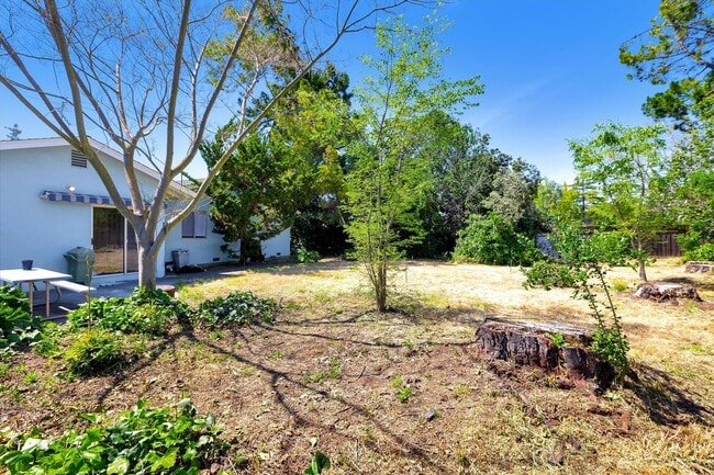 Building Photo - Beautifully Remodeled 4 Bedroom (+ bonus room and closet) 2 Bathroom Mountain View Home!