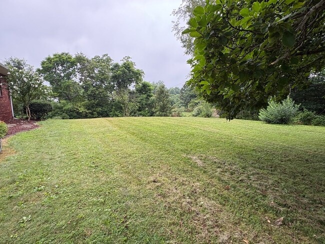 Building Photo - 262 Viscose Rd