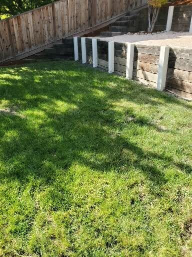 backyard green space - 2040 Goldenrod Ln
