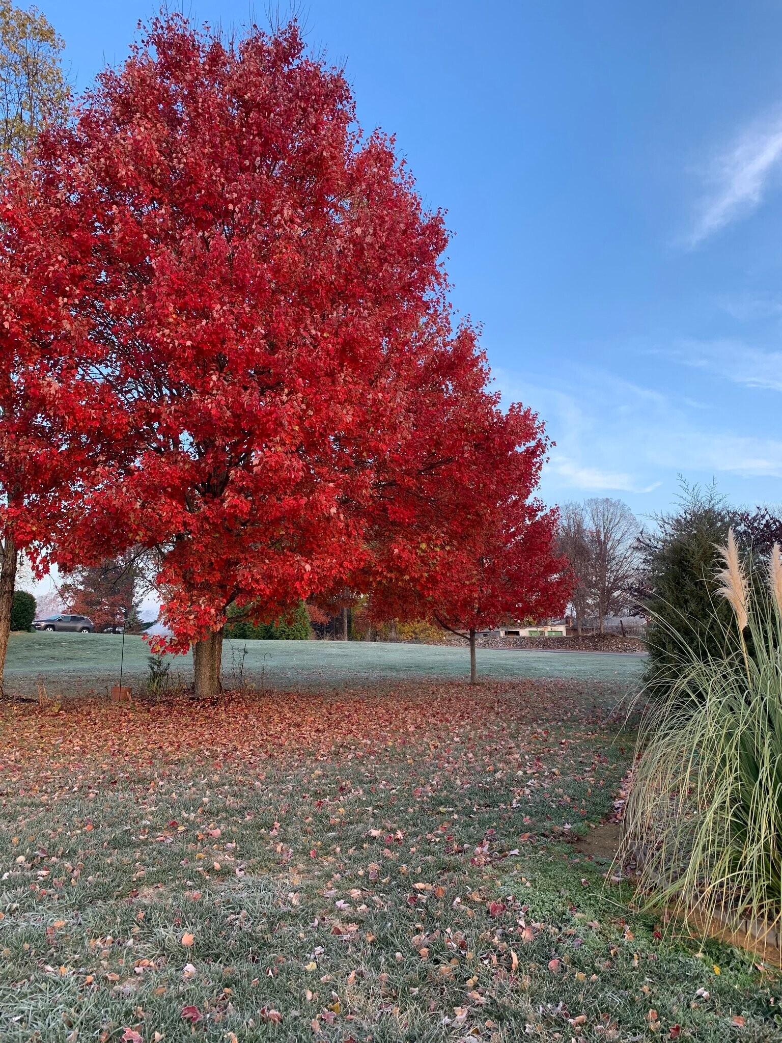 Building Photo - 107 Wheat Field Terrace