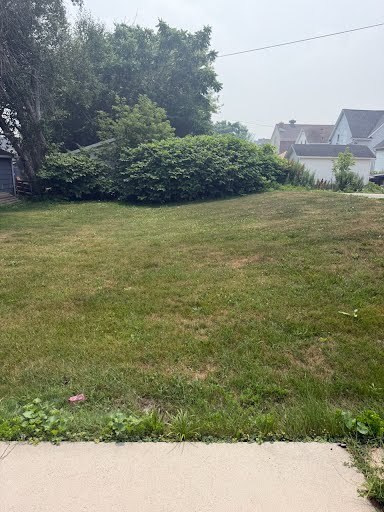 backyard - 1211 Hamilton St