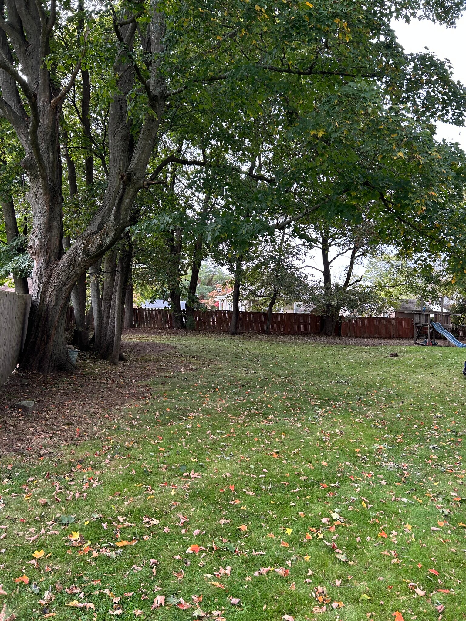 Building Photo - 9 Linden Ave