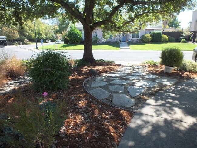 Building Photo - Natomas Station 3/2 ranch style home
