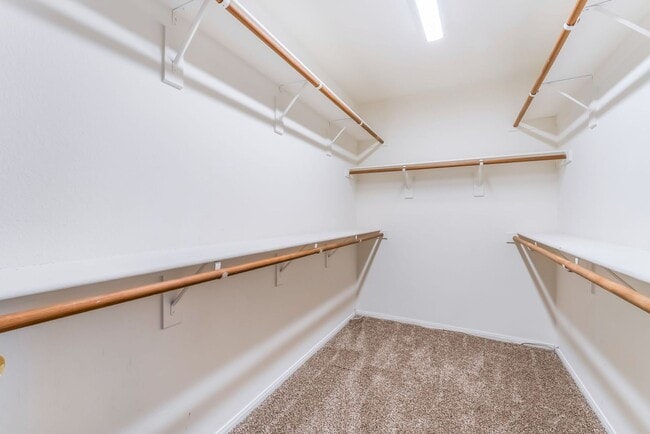 Building Photo - Beautiful 5 bed home with sparkling pool located in the heart of Las Vegas!