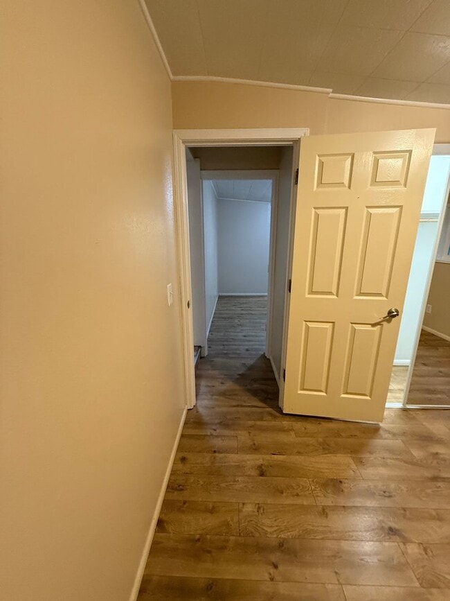 Building Photo - Newly Updated! 3 Bed/2 Bath House on a Large Lot!