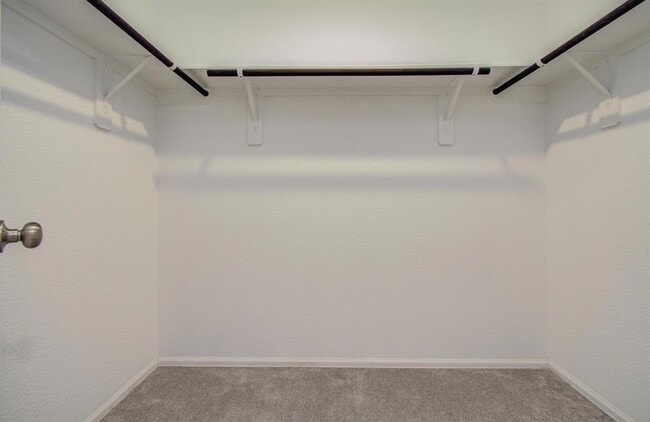 Building Photo - 10910 Bright Beacon Dr
