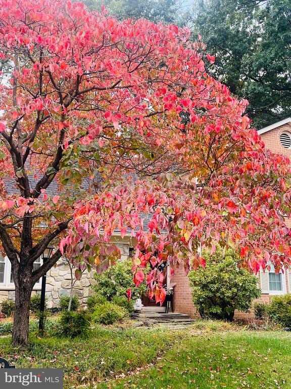 Building Photo - 1509 Snughill Ct