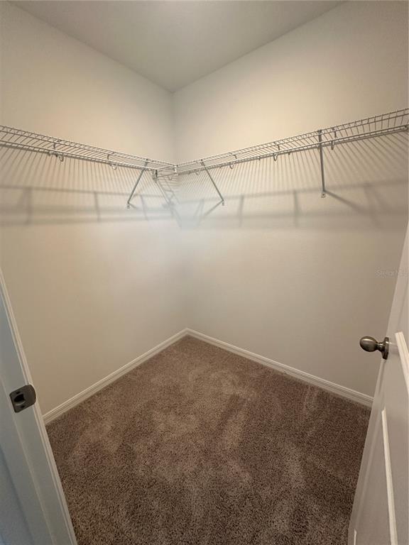 Building Photo - 6541 Cyrils Dr