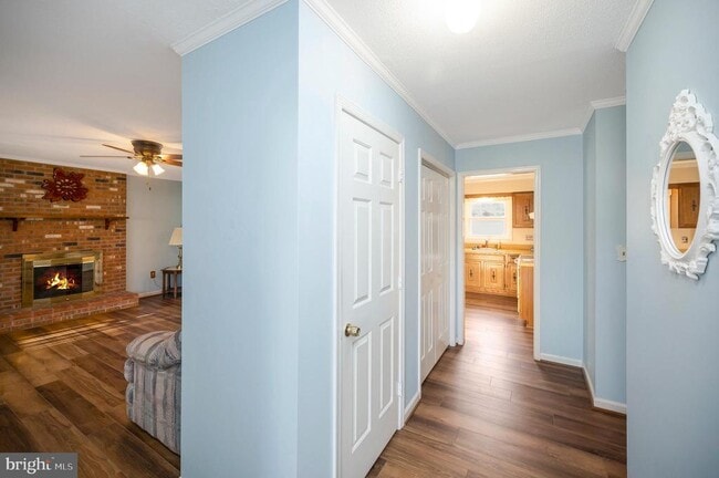 Building Photo - 3903 Norris Dr