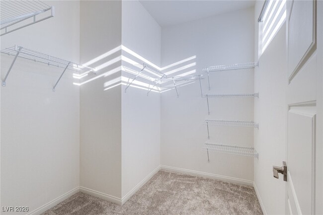 Building Photo - 11649 Stone Curlew Ave