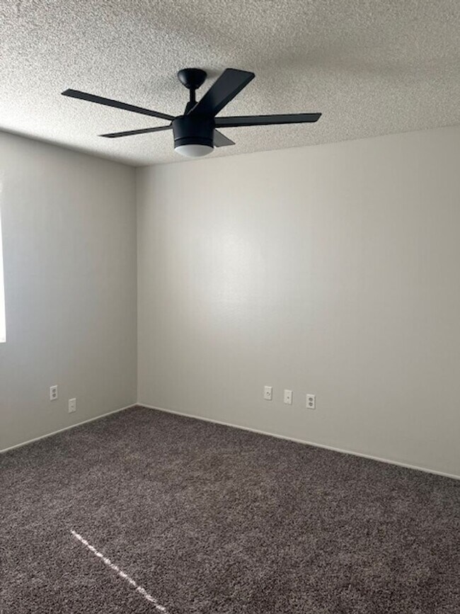 Building Photo - DC817