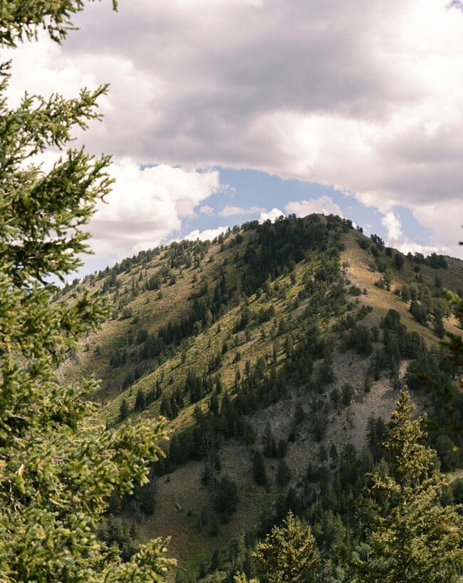 Building Photo - 515 Hawks Blvd