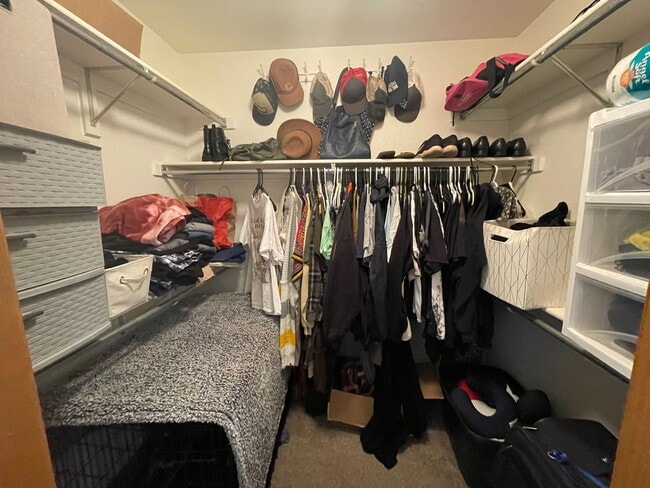 Building Photo - Beautiful 4 Bedroom Home in West Greeley – Available in May!