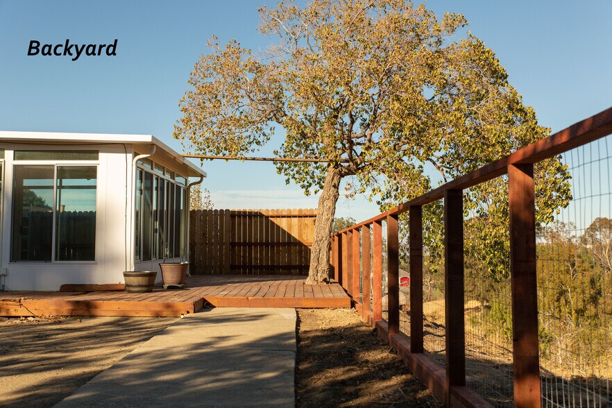 Backyard facing north - 2229 San Remo Way