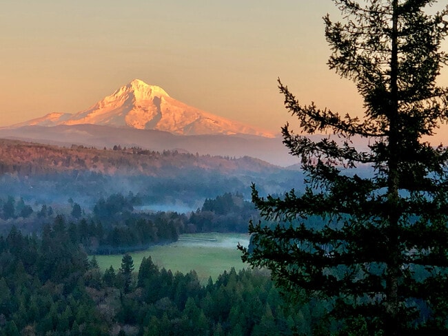 Building Photo - 17135 Beers Ave