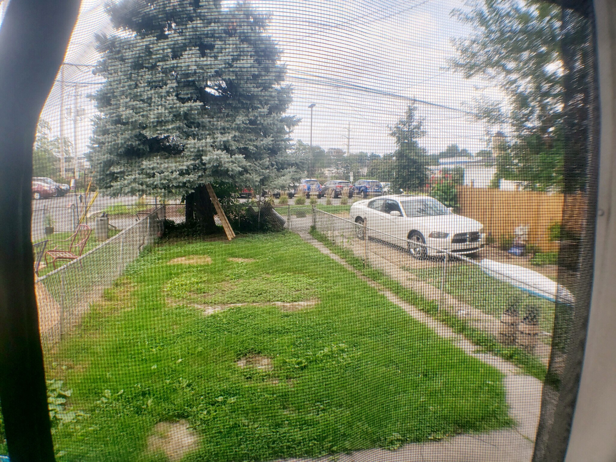 Fenced in Backyard - 1914 Manada St