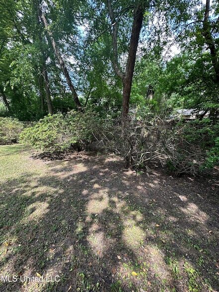 Building Photo - 3564 Cowan Pl