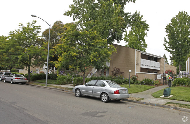 Stony Brook Apartments - Stony Brook