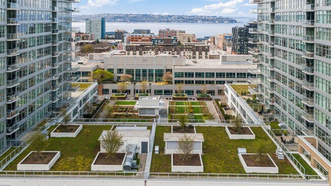 Building Photo - Stellar Denny Triangle Luxury Condo