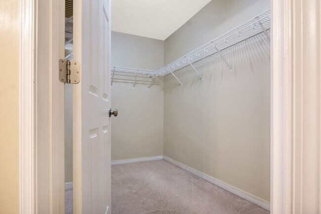 Building Photo - Spacious 3 Bedroom 3.5 Bathroom Townhome in Newport News