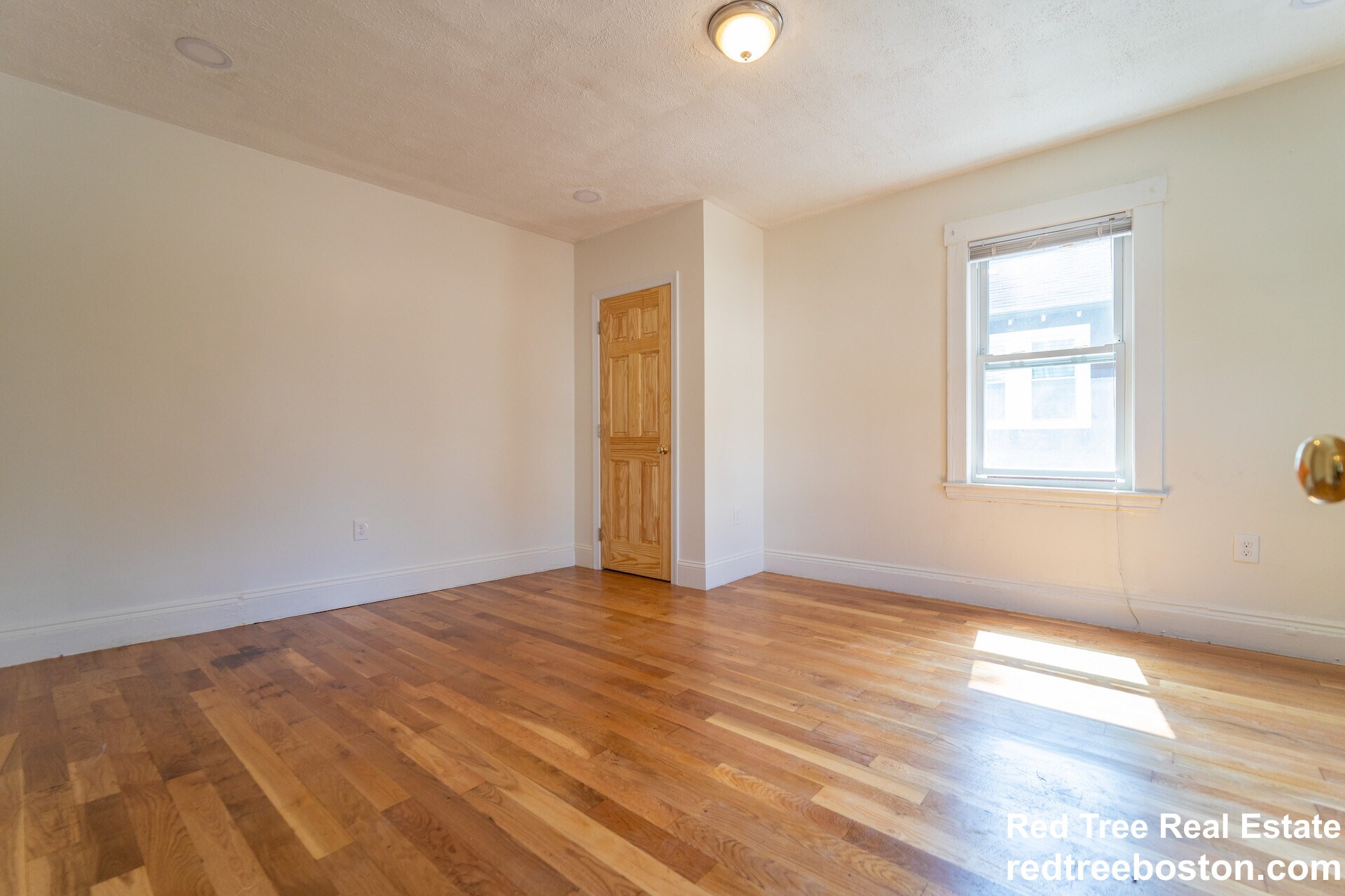 Building Photo - 12 Logan St