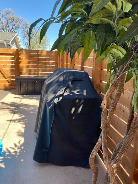 Rest of southern patio - 4102 Depew St.