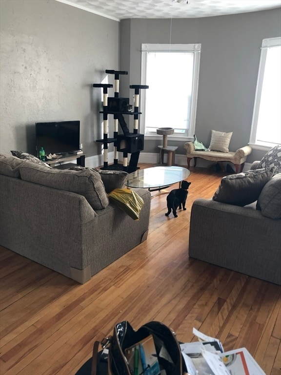 Building Photo - 23 Stoneland Rd