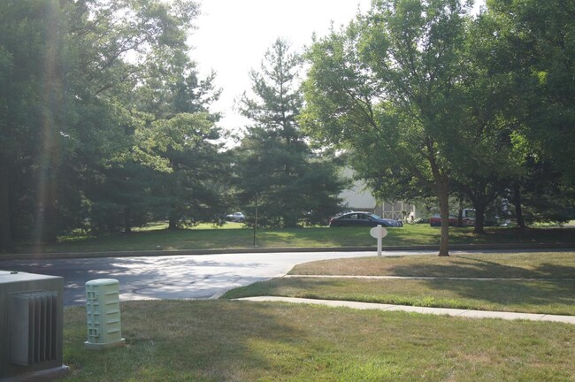 View from Patio - 2313 Foxmeadow Cir