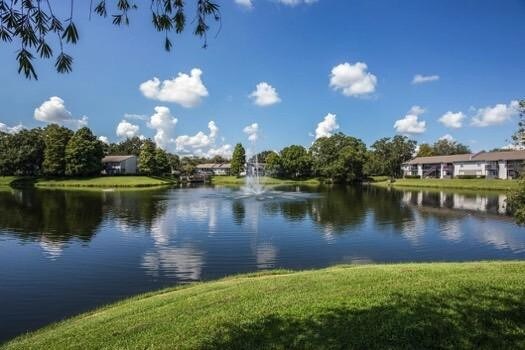 Building Photo - 1 bedroom in Tampa FL 33618